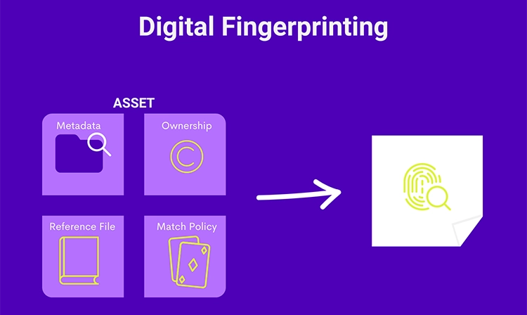 YouTube Content ID: Digital Fingerprinting