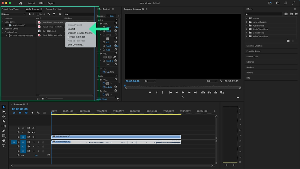 Adobe premiere pro: use media browser