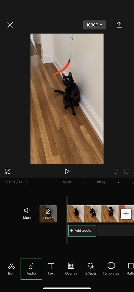 Capcut video editing app - add audio to video