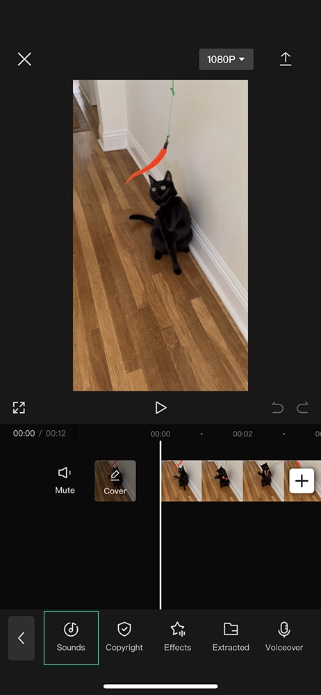 CapCut Video Editing App - Sounds Tab