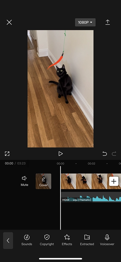 Capcut video editing app - edit video to music